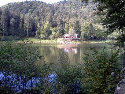 raid et bivouac la bresse gérardmer vosges
